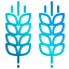 Wheat icon 64x64