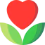 Organic icon 64x64