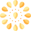 Seed icon 64x64