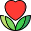 Organic icon 64x64