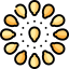 Seed icon 64x64