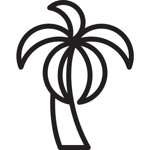 Coconut icon