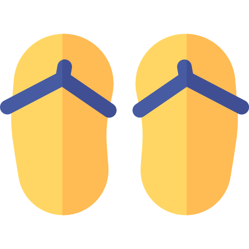 Flip flops icon