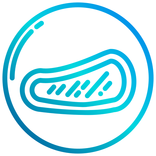 Steak icon