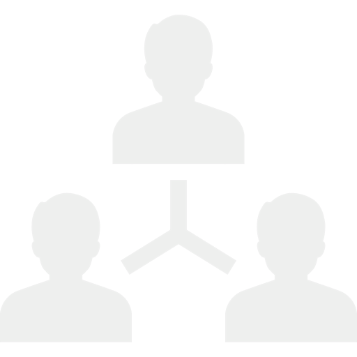 Network icon