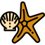 Starfish icon 64x64
