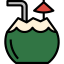 Coconut drink icon 64x64
