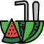 Watermelon icon 64x64