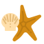 Starfish icon 64x64