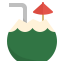 Coconut drink icon 64x64