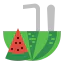 Watermelon icon 64x64