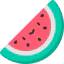 Watermelon icon 64x64