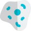 Sample ícono 64x64