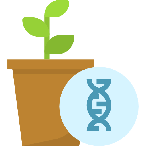 Gmo icon