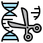 Gene icon 64x64