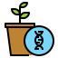 Gmo icon 64x64