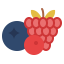 Berries Ikona 64x64