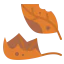Dry leaves アイコン 64x64