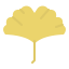 Ginko icon 64x64