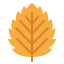 Leaf icon 64x64