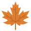 Maple leaf icon 64x64
