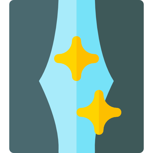 Window icon