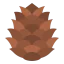 Pine cone icône 64x64