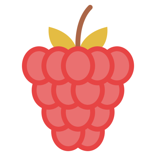 Raspberry icon