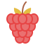 Raspberry 상 64x64