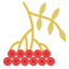 Rowan icon 64x64