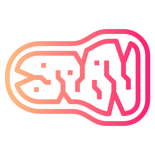 Beef icon