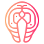 Salmon icon 64x64