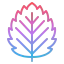 Leaf icon 64x64