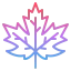 Maple leaf 图标 64x64