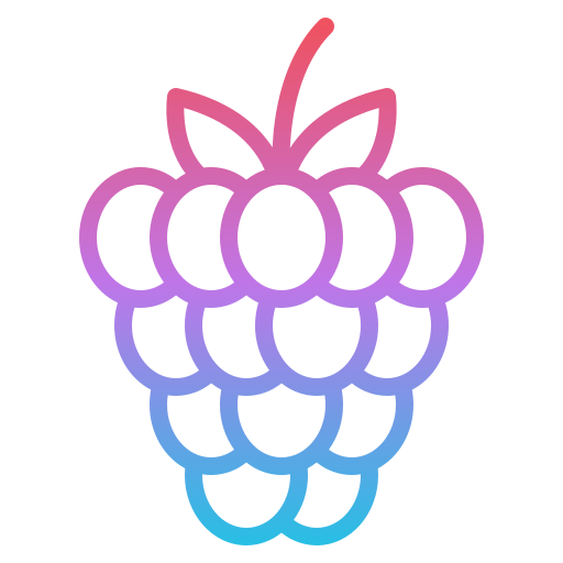 Raspberry icon