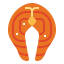 Salmon icon 64x64