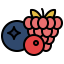 Berries Ikona 64x64