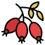 Dog rose icon 64x64