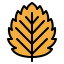 Leaf icon 64x64