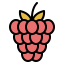 Raspberry 상 64x64