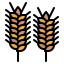 Wheat icon 64x64