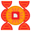 Dna icon 64x64