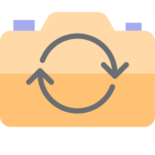 Switch camera icon