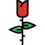 Tulip icon 64x64