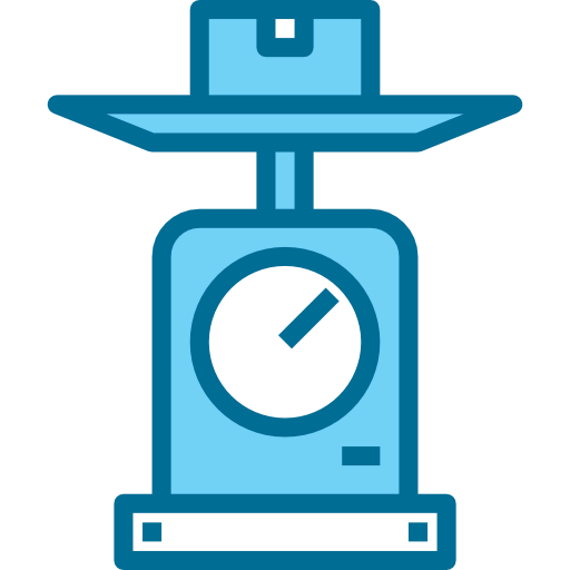 Scale icon