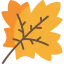 Maple leaf 图标 64x64