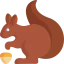 Squirrel icon 64x64