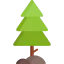 Pine icon 64x64