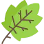 Leaf icon 64x64