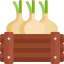 Onion icon 64x64